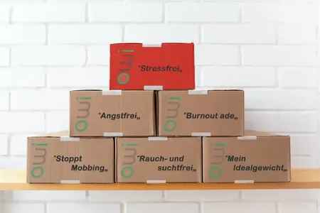 Behandlungspaket "Stressfrei" der Praxis für Veränderungscoaching & Therapie bei Ängsten und Phobien des open way institute.