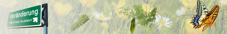 Praxis für Raucherentwöhnung, Rauchstopp, Nikotinentzug, Nichtraucher werden - www.ch-rauchstop.ch - Winterthur